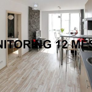 Monitoring 12 měsíců