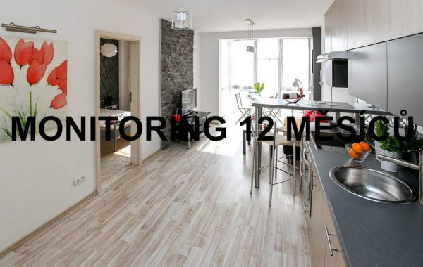 Monitoring 12 měsíců